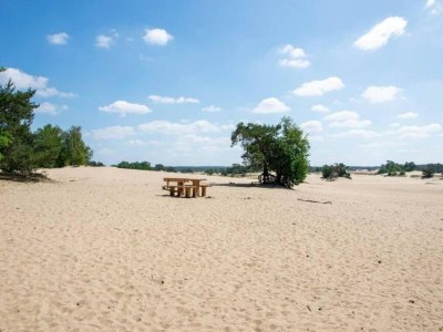 Holiday park Hoenderloo Getaway with Pool - Environment photo 15