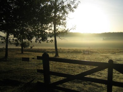 Holiday park Hoenderloo Getaway with Pool - Environment photo 19