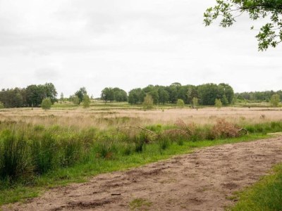 Holiday park Hoenderloo Getaway with Pool - Environment photo 22