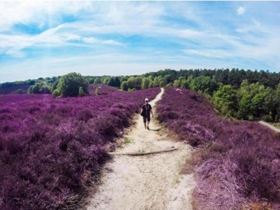 Holiday park Bungalow in Veluwe near Harderwijk - Environment photo 10