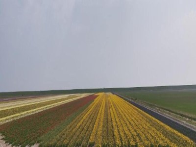 Holiday park Holiday House in Netherlands near the Coast - Environment photo 33