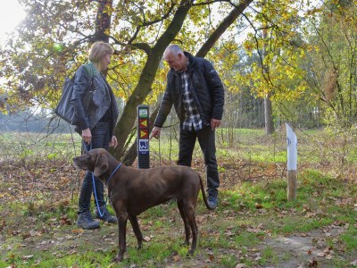Holiday park Villa with Lake Views - Environment photo 17