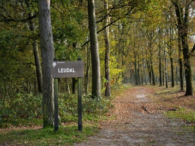 Holiday park Villa with Lake Views - Environment photo 23