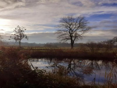 Holiday park Luxury Villa on the Water - Environment photo 20