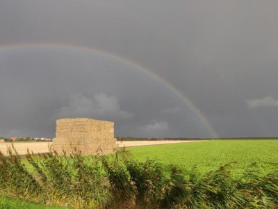 Holiday park Chalet auf Texel nahe De Hors für 6 Von Belvilla - Environment photo 21