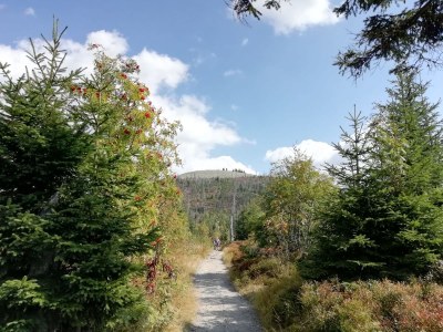 Holiday house Kindermann - Environment photo 30