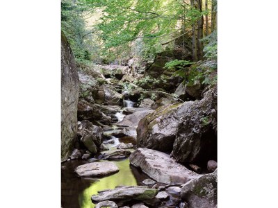 Holiday house Kindermann - Environment photo 31