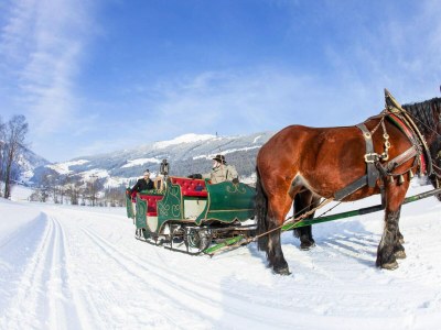 Apartment Haus in Krimml nahe Wasserfällen & Wandern - Outdoor photo 33