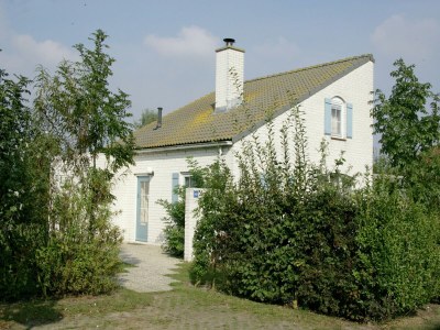 Holiday park Chalet in Texel near Dunes & Water - Outdoor photo 6