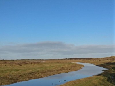 Holiday park Chalet in Texel by Dunes and Water - Environment photo 18