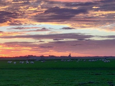 Holiday park Chalet in Texel by Dunes and Water - Environment photo 28