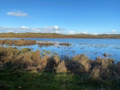 Holiday park Chalet in Texel by the Dunes & Water - Environment photo 13