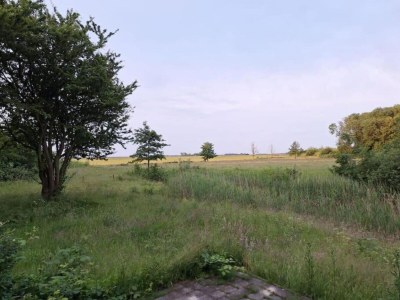 Holiday park Chalet in Texel by the Dunes & Water - Environment photo 18