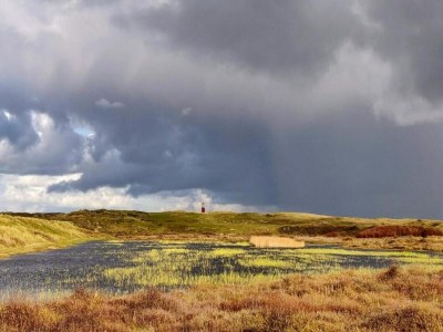 Holiday park Chalet in Texel by the Dunes & Water - Environment photo 19
