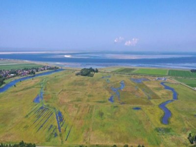 Holiday park Chalet in Texel by the Dunes & Water - Environment photo 21