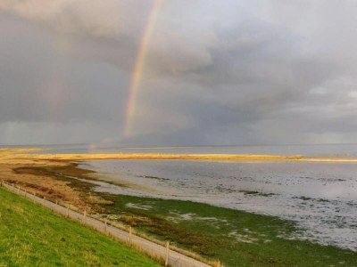Holiday park Chalet in Texel by the Dunes & Water - Environment photo 23