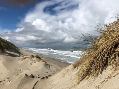 Holiday park Chalet in Texel by the Dunes & Water - Environment photo 27