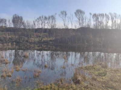 Holiday park Chalet in Texel by the Dunes & Water - Environment photo 32