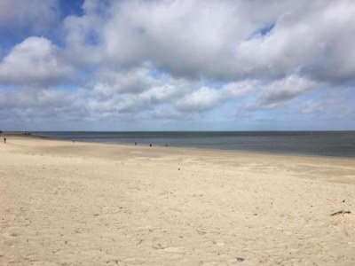 Holiday park Chalet in Texel by the Dunes & Water - Environment photo 35