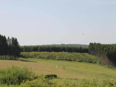 Holiday park Spacious Nature Villa, Paasloo - Environment photo 17