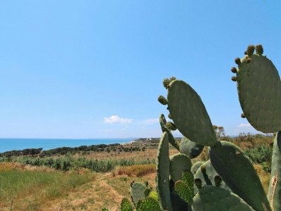 Holiday park Apartment in Sicily near Sandy Beach - Environment photo 17