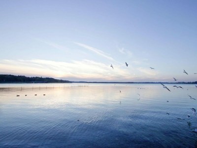 Holiday park Appartements im Maremuritz Yachthafen Resort - Outdoor photo 25