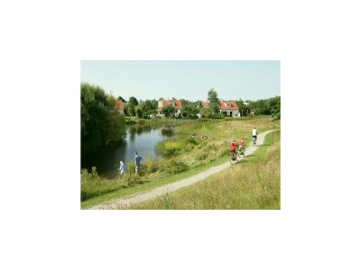 Holiday park Villa in Texel with Luxurious Comfort - Environment photo 22