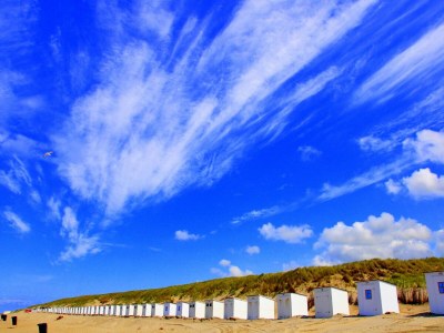 Holiday park Villa in Texel with Luxurious Comfort - Environment photo 25