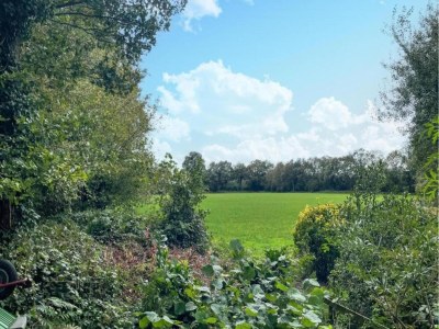 Holiday park Reetgedeckte Villa im Nationalpark - Environment photo 13