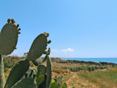Holiday park Apartment in Sicily near Sandy Beach - Outdoor photo 13