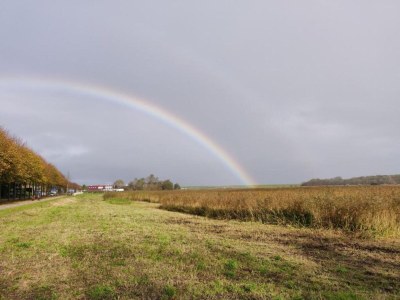 Holiday park Modernes Chalet mit Geschirrspüler auf Texel - Environment photo 23