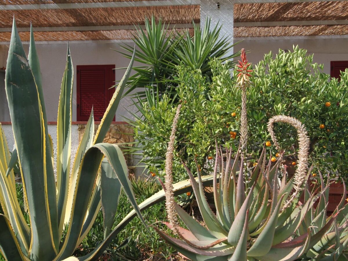 Holiday park Apartment in Sicily near Sandy Beach - Outdoor photo 3