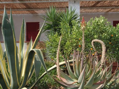 Holiday park Apartment in Sicily near Sandy Beach - Outdoor photo 3