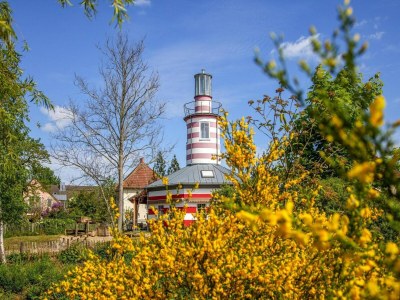 Holiday park Wohnung in Fleesensee Golf & Aqua Fun - Outdoor photo 12