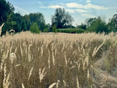 Holiday park Haus-Nr: DMS02134-CYA - Environment photo 15