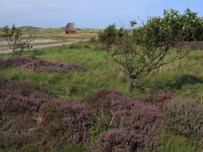 Holiday park Texel Apartment mit Balkon - Environment photo 18