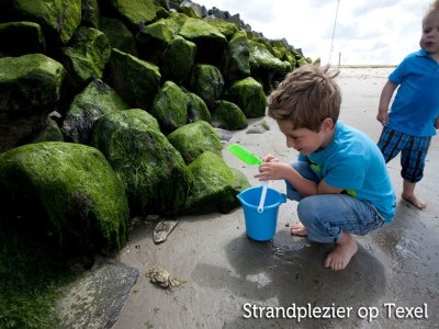 Holiday park Texel Apartment mit Balkon - Environment photo 29