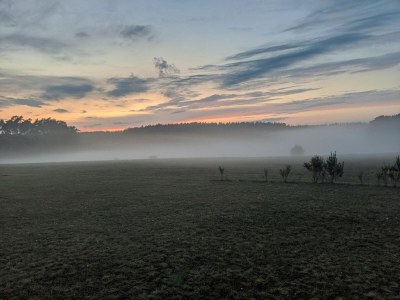 Holiday park Ferienhaus im Van der Valk Resort in Linstow - Environment photo 19