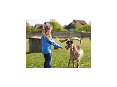 Holiday park Haus-Nr: DMS02134-FYF - Outdoor photo 35