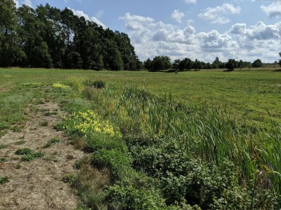 Holiday park Haus-Nr: DMS02134-LYB - Environment photo 14