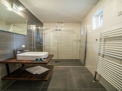 Holiday park Stilvolle Villa in Maastricht - Features photo 6