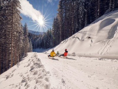 Apartment Wohnung in der Achenseeregion mit toller Aussicht - Environment photo 45