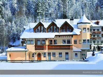 Apartment Apartment in Achensee with Stunning Lake Views - Outdoor photo 3