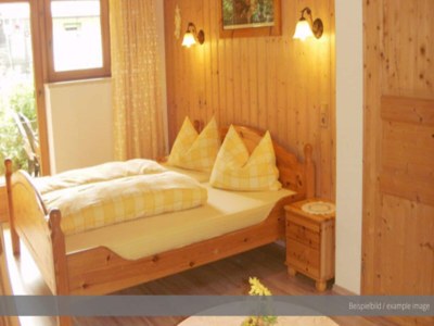 Apartment Apartment in Achensee with Stunning Lake Views - Features photo 5