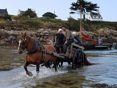 Holiday park Wohnung in Lilia nahe Kastell Ac'h Strand - Environment photo 19