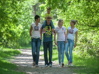 Holiday park Holiday Home near Breda & De Biesbosch - Environment photo 15