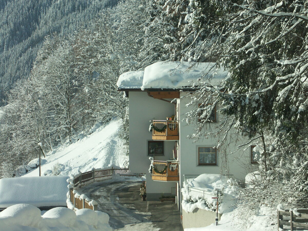 Holiday apartment Dornauer - Outdoor photo 2