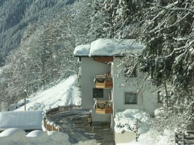 Holiday apartment Dornauer - Outdoor photo 2