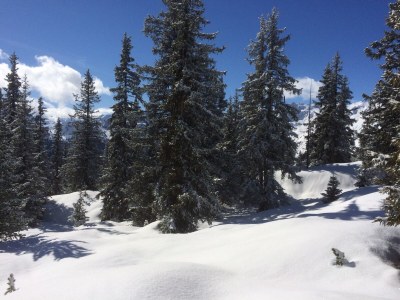 Holiday apartment Dornauer - Document photo 44