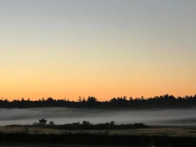 Holiday park Charming Thatched Villa in Texel - Environment photo 19